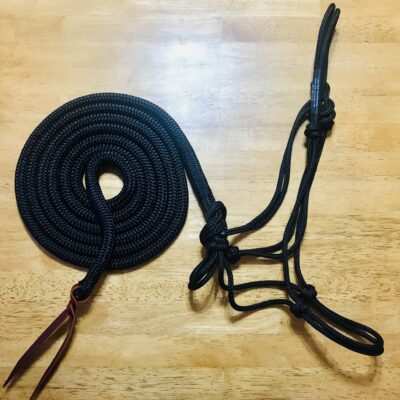 Rope Halter and Lead